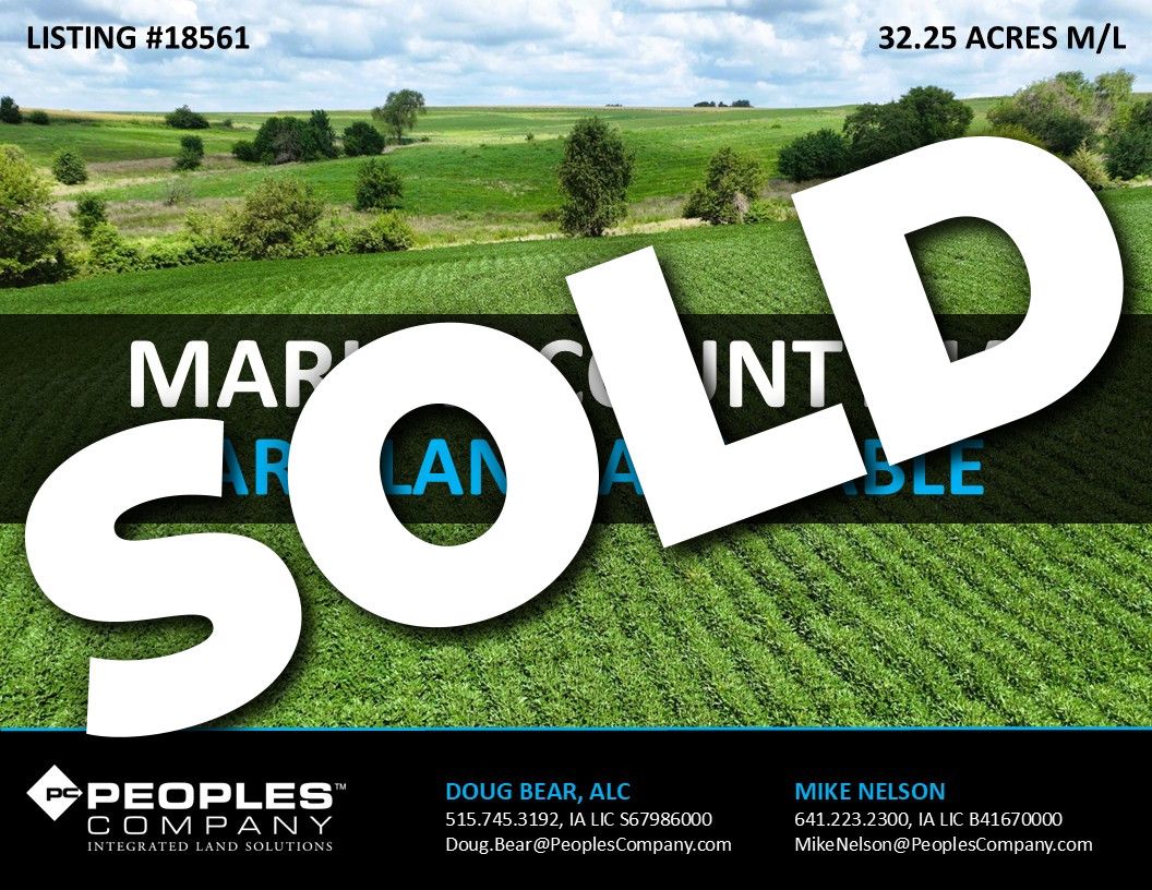 Listing #18561